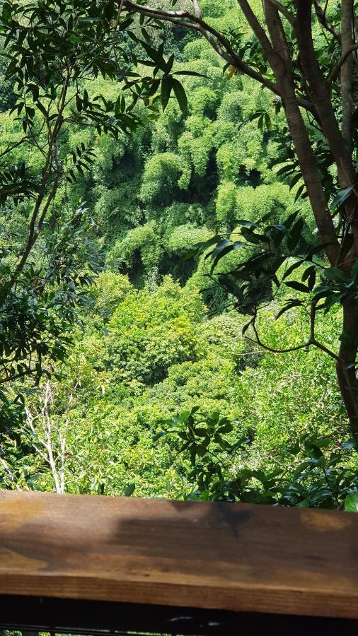 Le Lodge Origin Sainte-Suzanne المظهر الخارجي الصورة